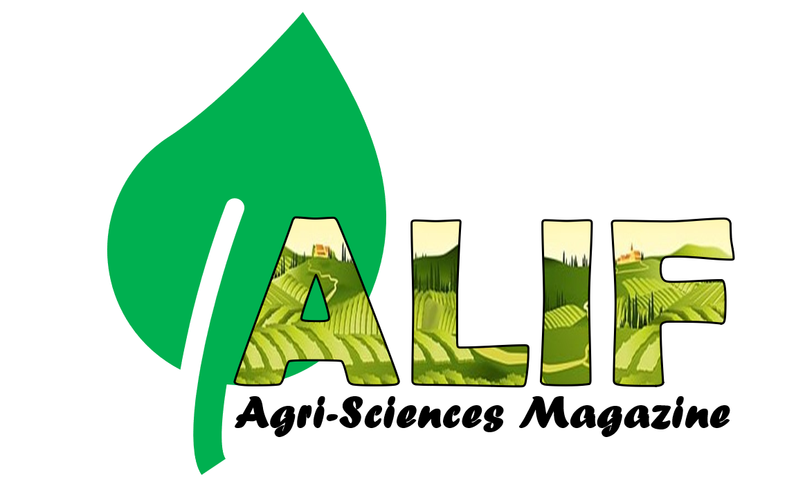 Alif House Logo by hamoud on DeviantArt